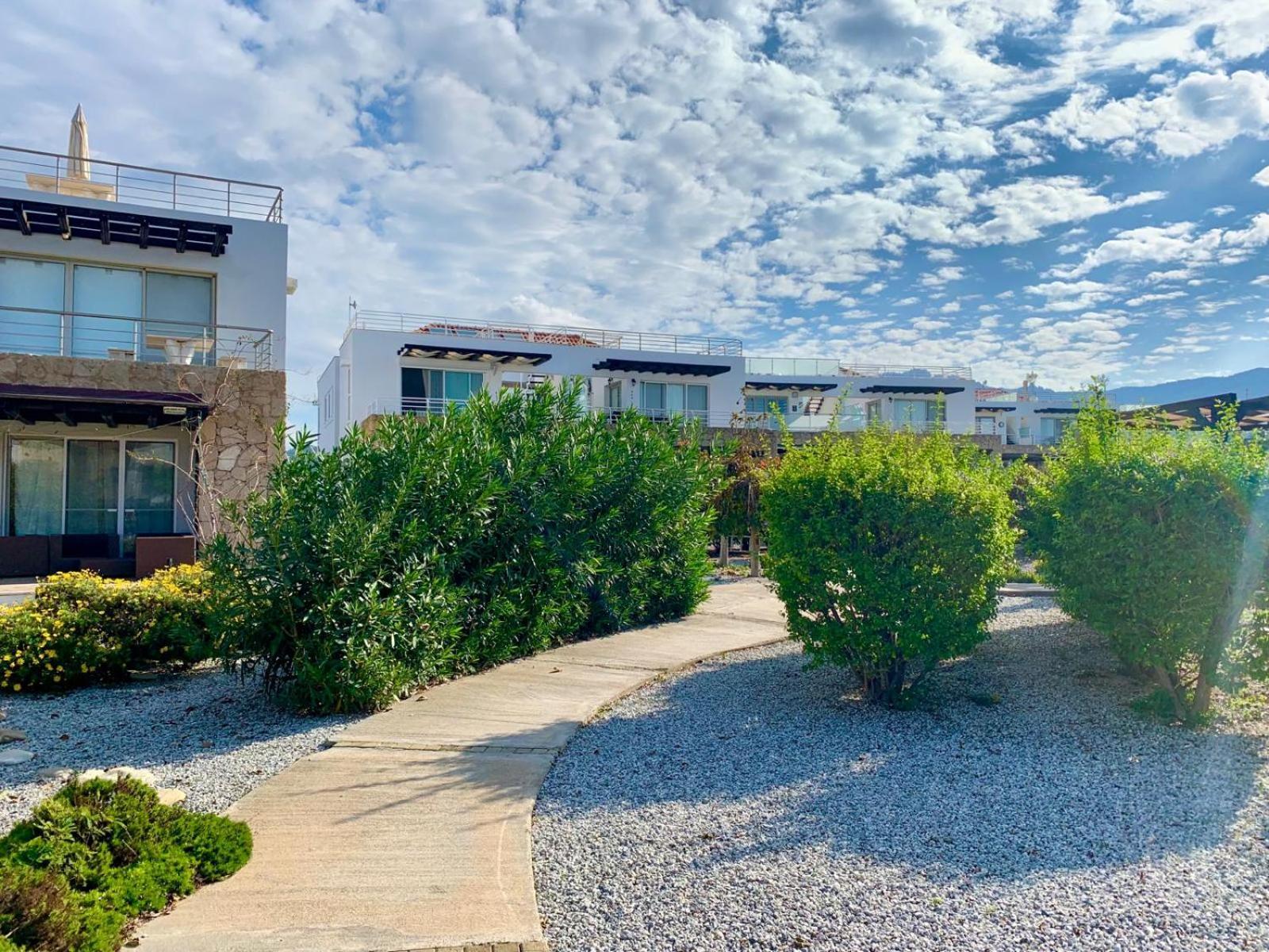 Boho Bay Apartment Akanthou Екстериор снимка