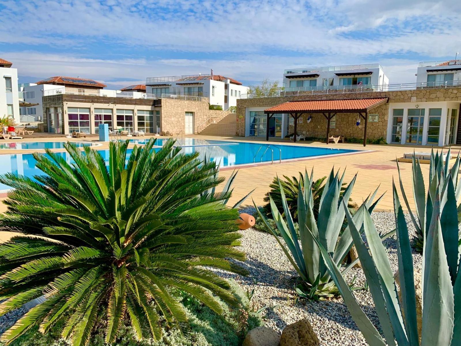 Boho Bay Apartment Akanthou Екстериор снимка