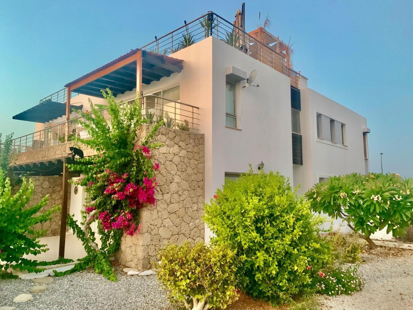 Boho Bay Apartment Akanthou Екстериор снимка